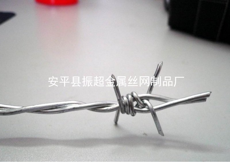 雙股刺繩-安平縣振超金屬絲網制品廠www.xinlongdianzi.com.cn