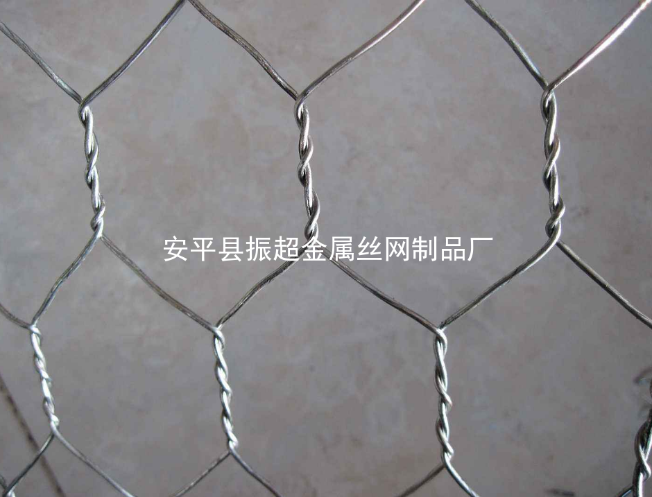 六角鐵絲網(wǎng)-www.xinlongdianzi.com.cn